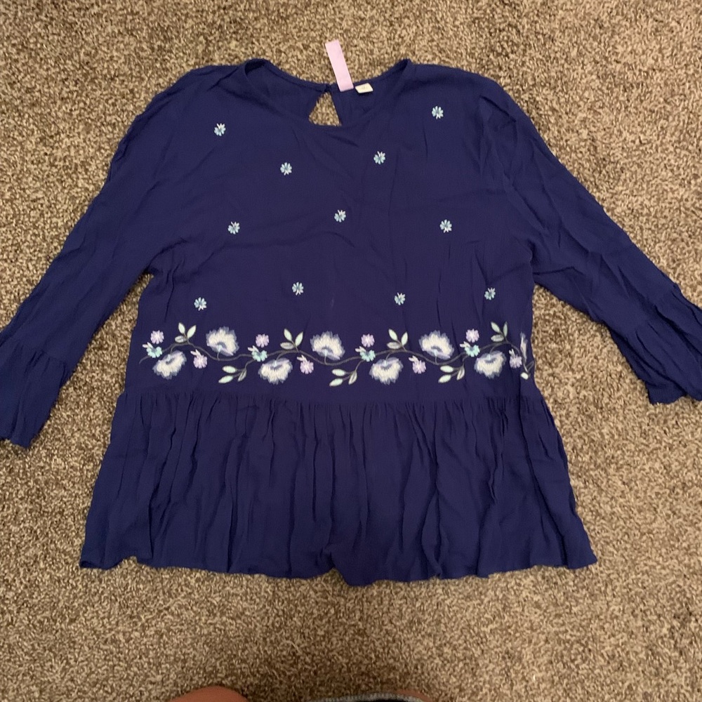 Francesca’s Blue Embroidered Blouse